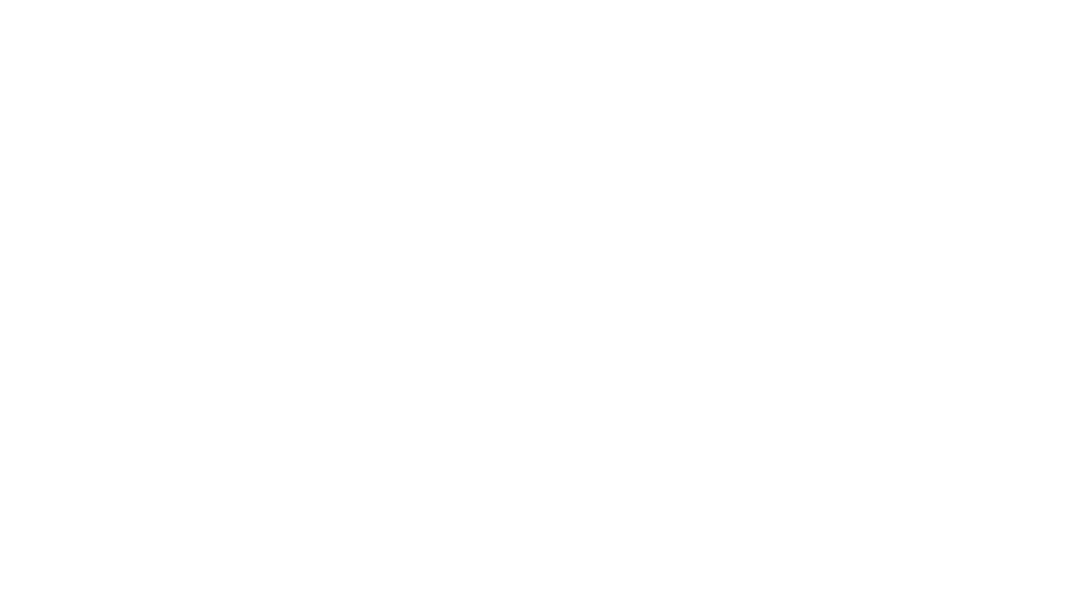 WINLEVI Logo